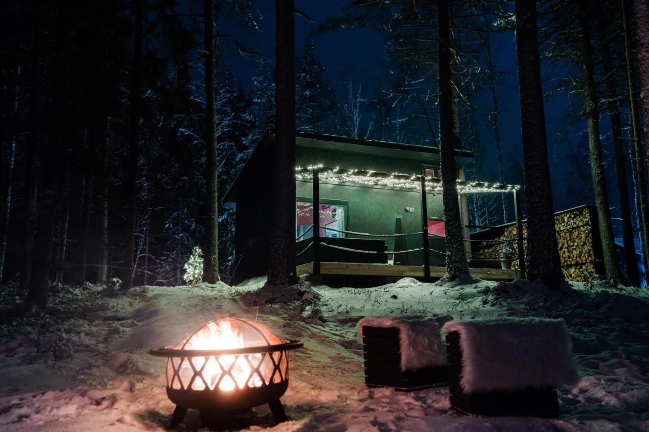 Ternu Minivilla Rovaniemi Exterior photo