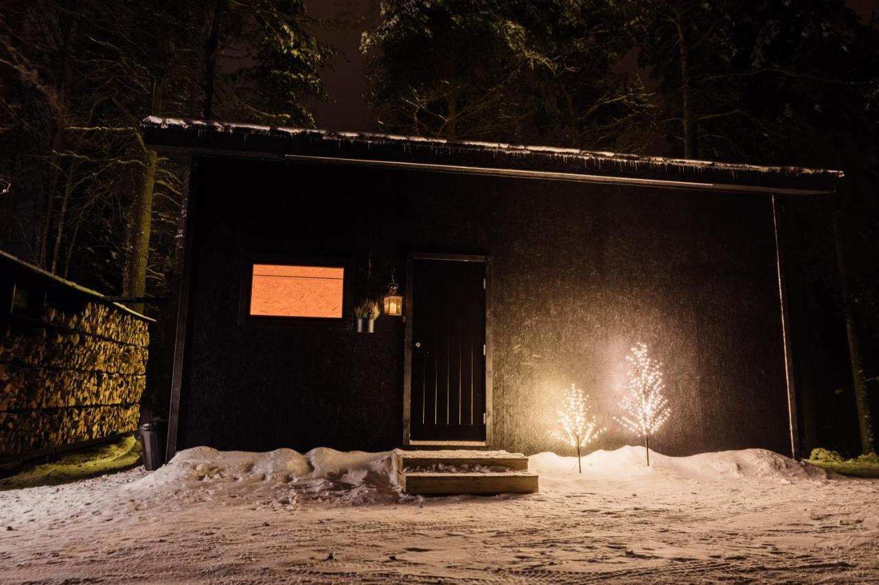 Ternu Minivilla Rovaniemi Exterior photo